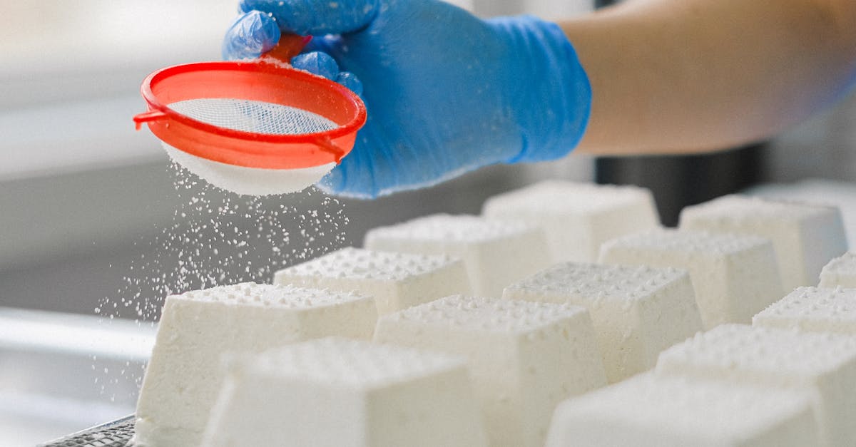 What to Know About the Benefits of Refrigerated Transport in the Food Industry