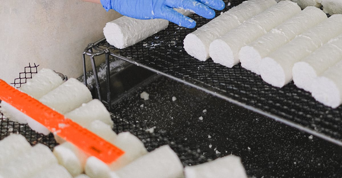 Why Blast Freezing is Essential for Food Safety