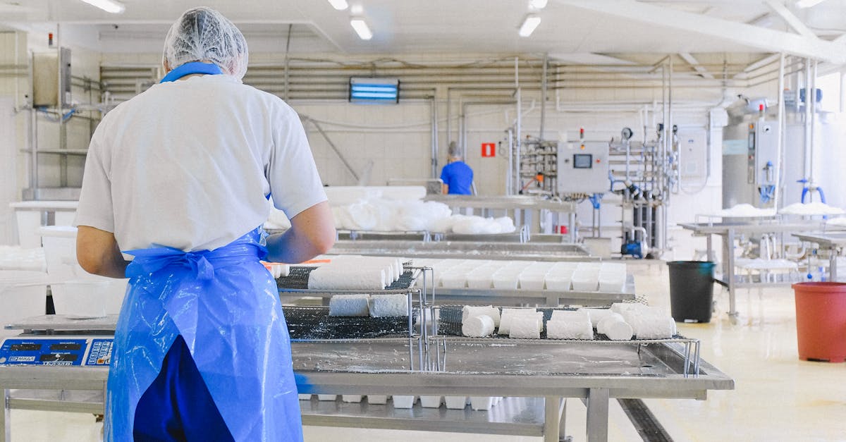 Why Energy Efficiency is Crucial in Food Processing Cooling Systems