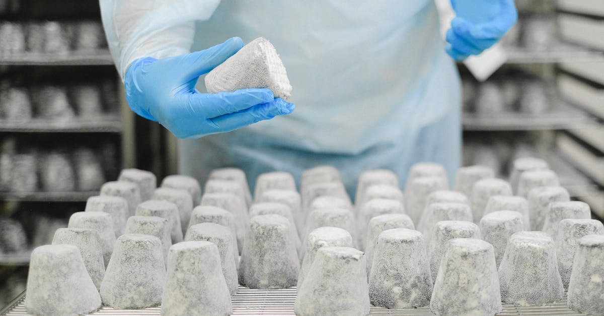 Why Innovative Heat Exchanger Designs Matter in Food Processing