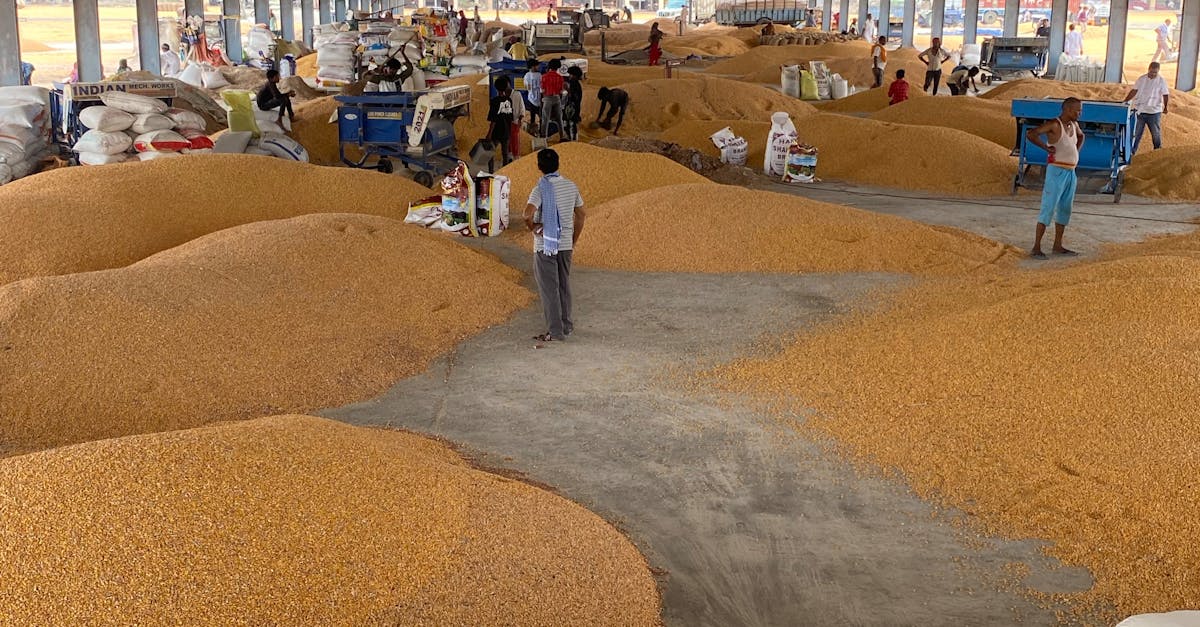 Why is Regular Maintenance Crucial for Refrigeration Systems in Food Processing