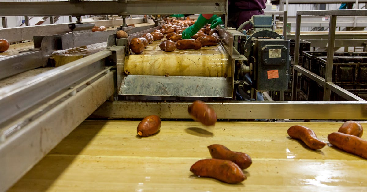 Why Sustainable Cooling is Essential for Food Safety