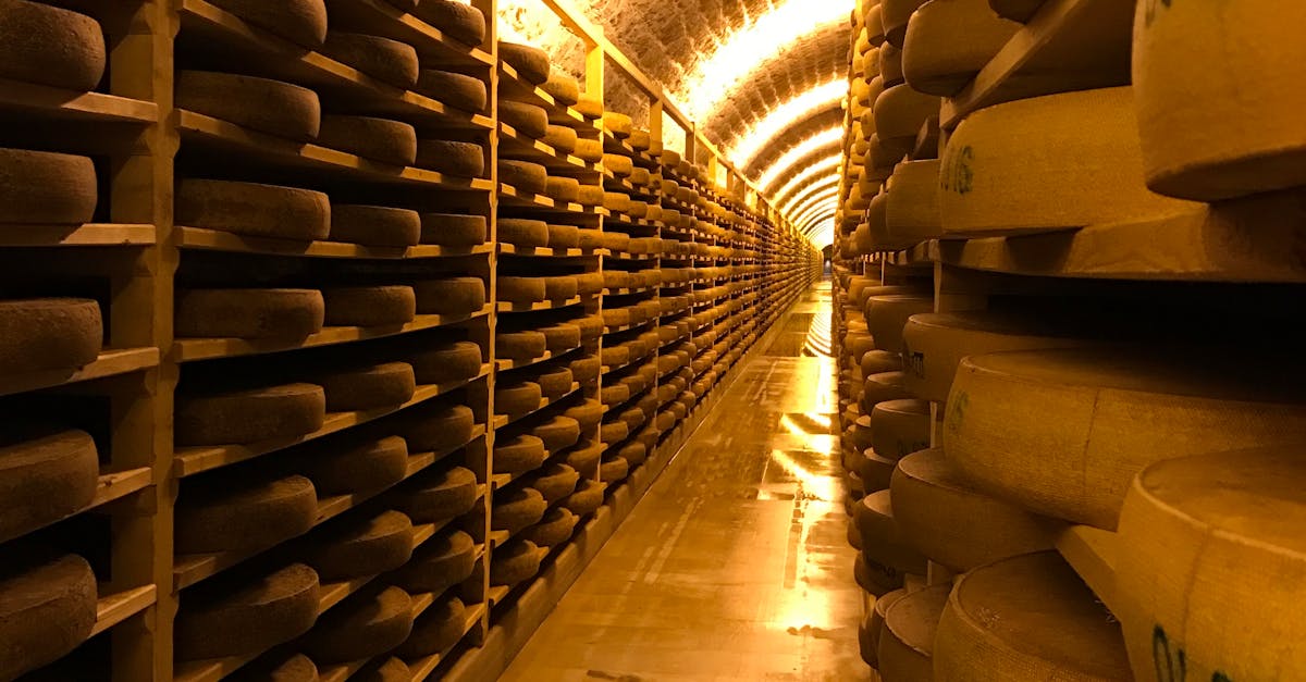 Why Sustainable Cooling Technologies Matter for Environmental Impact